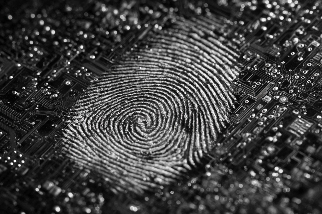 How the Body Translates Touch into Feeling